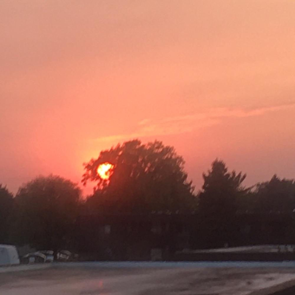 Meet your Posher, Gloria